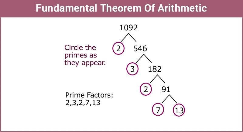 Fundamental Theorem of Arithmetic, HCF & LCM | Mathematics (Maths) Class 10