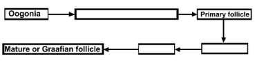 NCERT Exemplar: Human Reproduction | Biology Class 12 - NEET