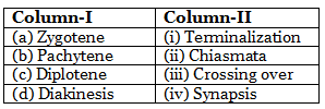 NEET Previous Year Questions (2016-2025): Cell Cycle & Cell Division | Biology Class 11
