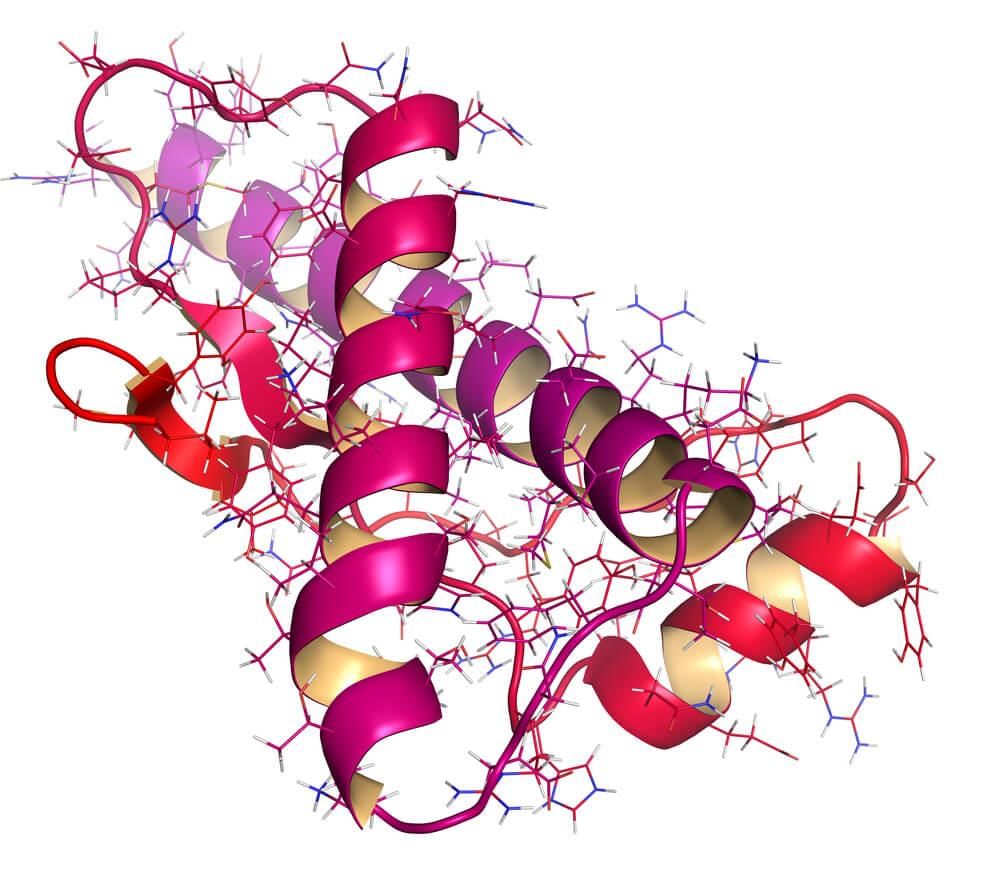 Prion