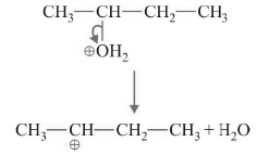 Covalent Bond Fission: Homolytic & Heterolytic | Chemistry for JEE Main & Advanced