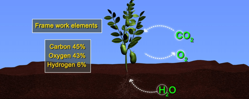 Fig: Essential elements