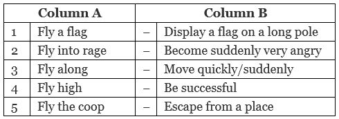 NCERT Solutions for Class 10 English Chapter 3 - Two Stories about Flying