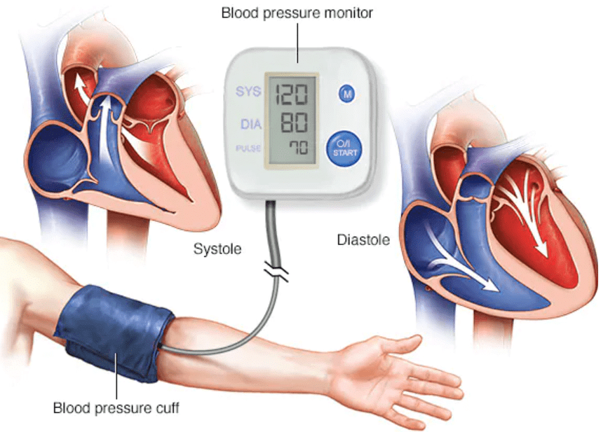 Sphygmomanometer