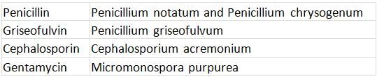 NCERT Exemplar: Biological Classification | Biology Class 11 - NEET