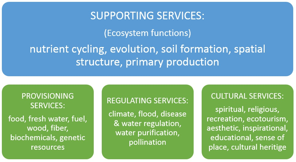 Biosphere & Working of Ecosystems: Environment & Disaster Management | Environment for UPSC CSE