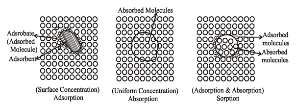 NCERT Exemplar: Surface Chemistry (Old NCERT) | Chemistry for JEE Main & Advanced