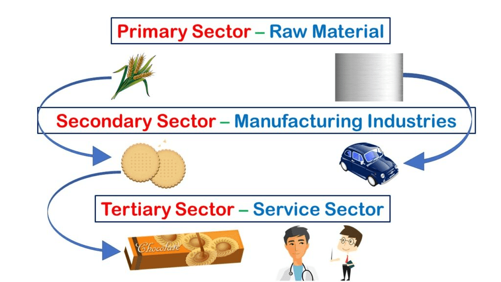 Sectors of the Economy | Geography for UPSC CSE
