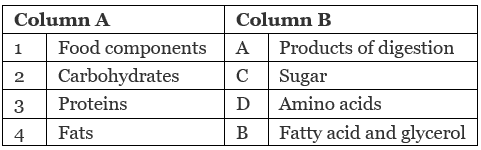 NCERT Solutions for Class 7 Science - Nutrition in Animals