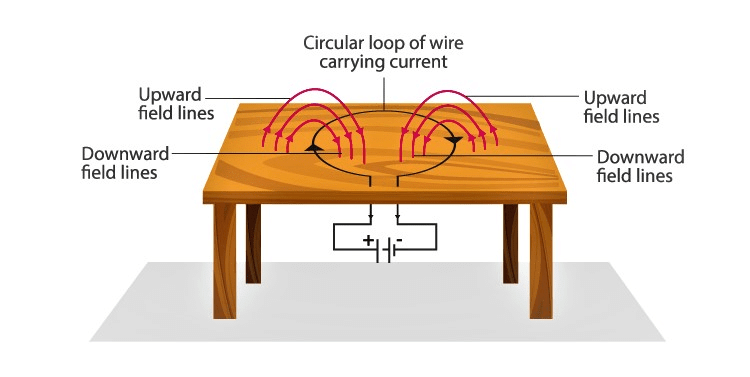 NCERT Solutions for Class 10 Science Chapter 12 - Magnetic Effects of Electric Current