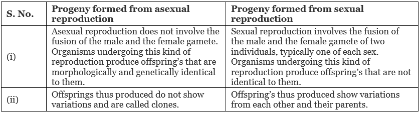 Reproduction in Organisms (Old NCERT) NCERT Solutions | General Science for Competitive Exams - RRB Group D / RPF Constable