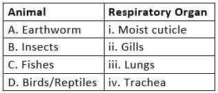 NCERT Exemplars: Breathing & Exchange of Gases | Biology Class 11 - NEET