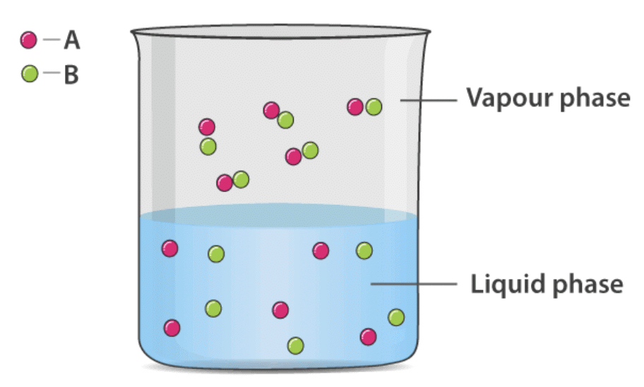 Vapour Pressure, Raoult`s Law, Ideal & Non Ideal Solutions | Physical Chemistry for NEET