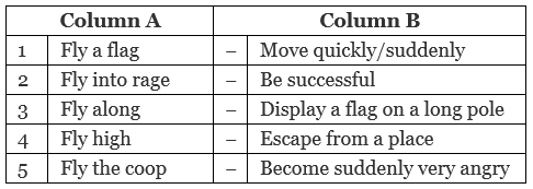 NCERT Solutions for Class 10 English Chapter 3 - Two Stories about Flying