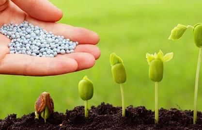 Bio-pesticide