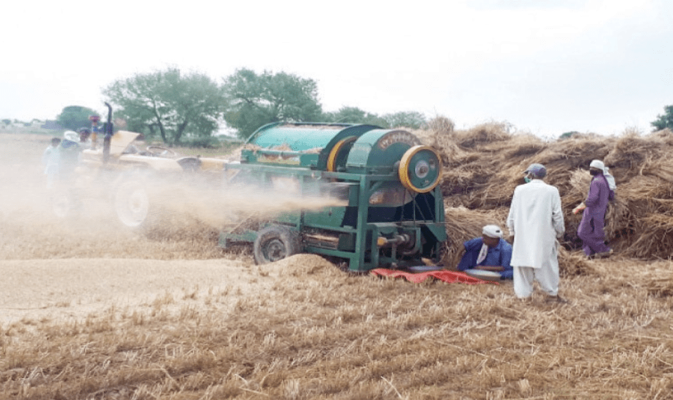 Wheat Threshing