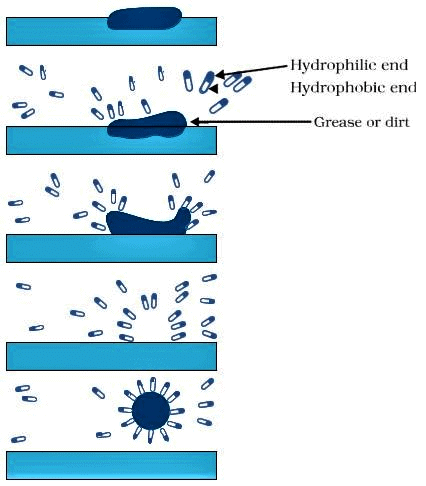 Formation of Micelle
