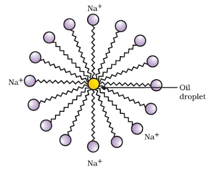 Class 10 Science Chapter 4 Previous Year Questions - Carbon and its compounds