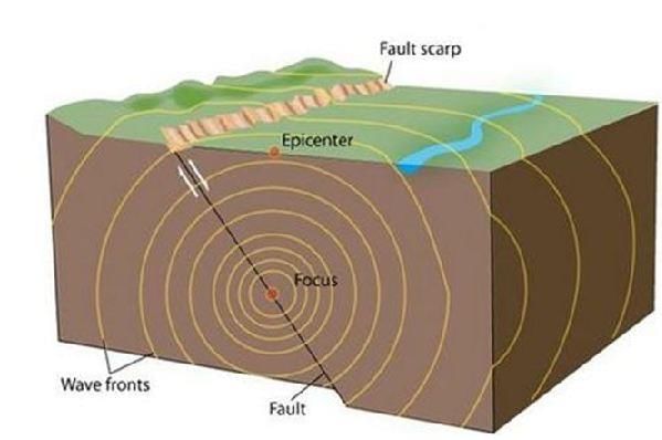 Fig: Seismic waves.