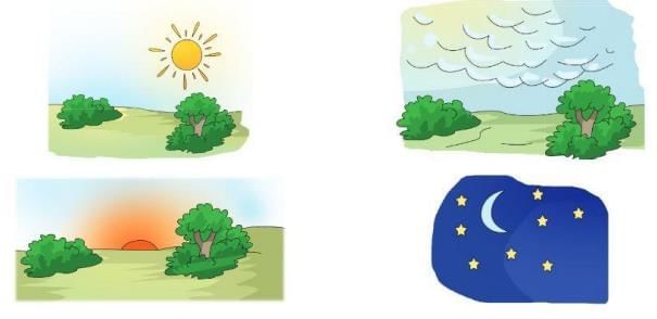 Summary: Bed in Summer | English Language for Primary 2
