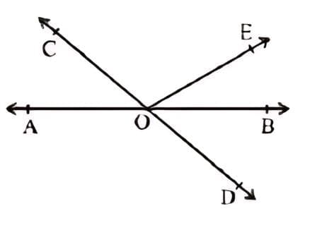 Unit Test (Solutions): Lines & Angles
