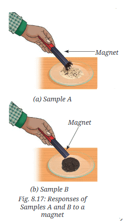 NCERT Based Activity: Nature of Matter: Elements, Compounds, and Mixtures | Science Curiosity Class 8 -  New NCERT