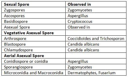 Mycology Chapter Notes | Microbiology - NEET PG