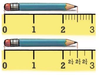 NCERT Solutions for Class 7 Maths Chapter 3 A Peek Beyond the Point