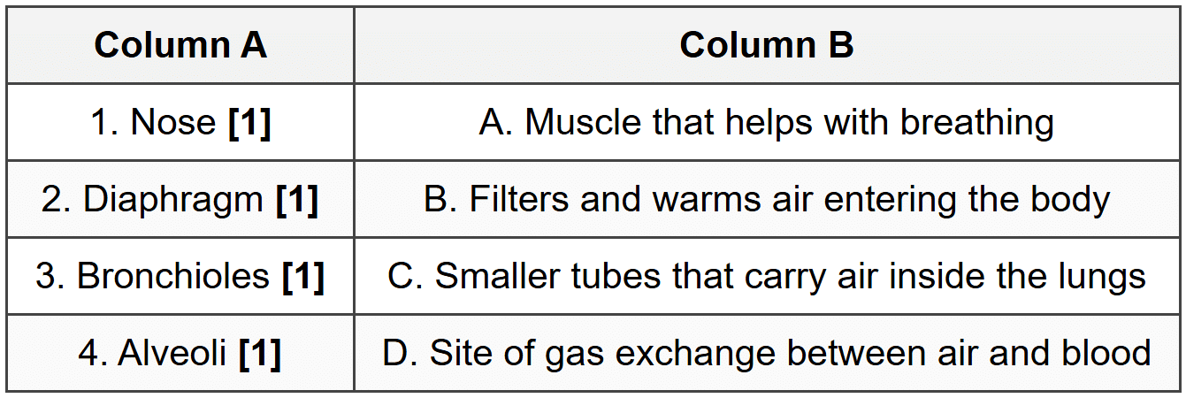 Section C: Match the Column