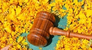 Supreme Court`s `Green Governance`: Balancing Environmental Protection and Regulatory Uncertainty