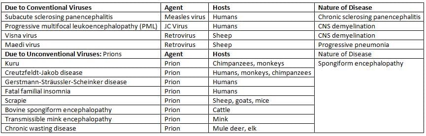Miscellaneous viruses Chapter Notes | Microbiology - NEET PG