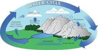 Water Resources - 2 Class 4 Worksheet SST