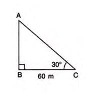 Solution of Right Triangles Chapter Notes | Mathematics Class 9 ICSE
