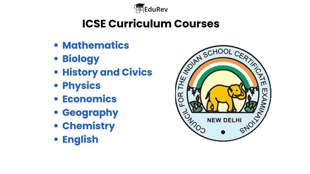 What`s Inside EduRev Infinity for CBSE Class 6? | How To Study For Class 6