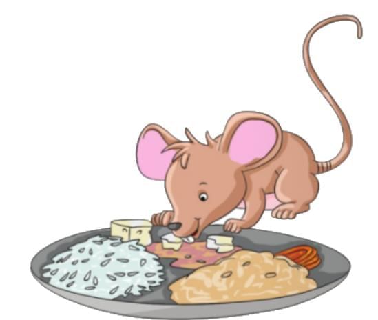 Summary: Mice | English Class 1 ICSE
