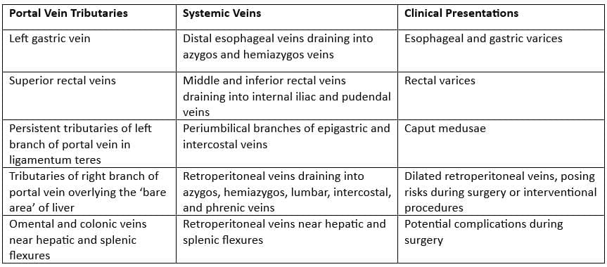 Hepatic Portal System