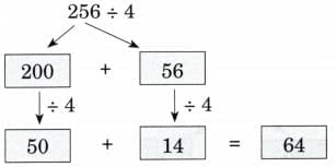 Coconut Farm NCERT Solutions | Mathematics (Maths Mela) Class 5 - New NCERT