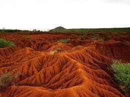 Soil Erosion And Conservation - 1 Class 5 Worksheet Science