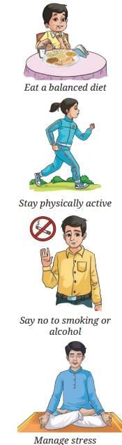 NCERT Based Activity: Health: The Ultimate Treasure | Science Curiosity Class 8 -  New NCERT