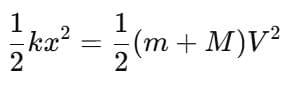 Collisions | Physics Class 11 - NEET