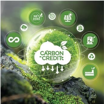Contemporary Issues and Emerging Trends | Environmental Law - CLAT PG