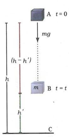 7.4.3 Conservation of Mechanical Energy