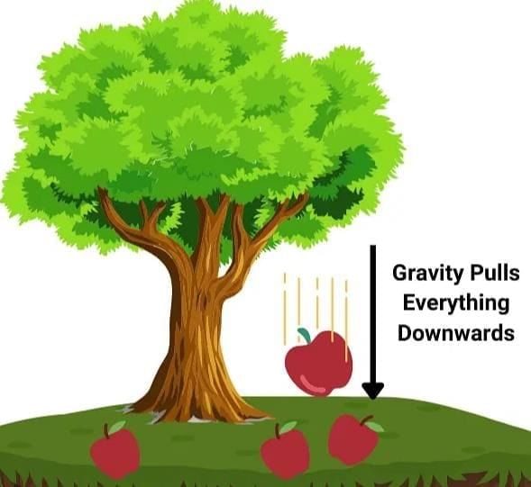 Exploring Forces Chapter Notes | Chapter Notes For Class 8