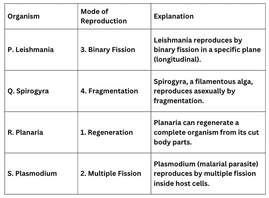 Q12: Select the option having correct matching of the organism given in Column I with the mode of reproduction in Column II: &nbsp;(1 Mark)