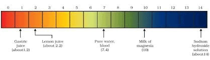  How Strong are Acid or Base Solutions?
