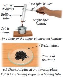 NCERT Based Activity: Nature of Matter: Elements, Compounds, and Mixtures | Science Curiosity Class 8 -  New NCERT