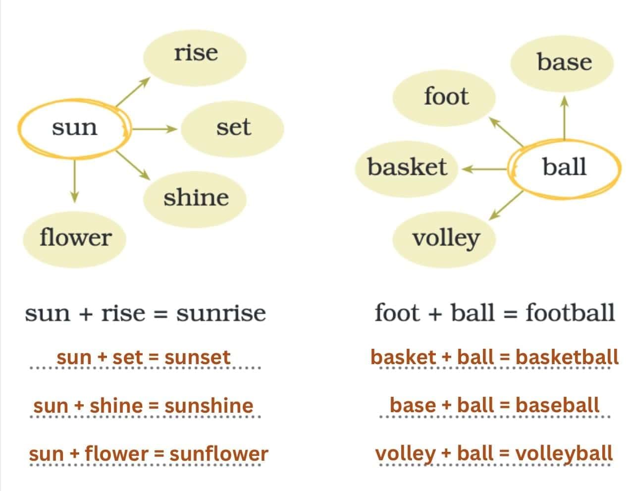 Gone with the Scooter NCERT Solutions | English Santoor Class 5 - New NCERT