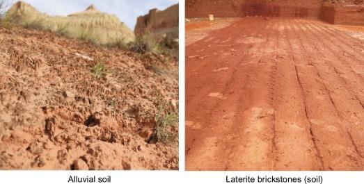 Revision Notes: Soils in India | Geography Class 10 ICSE