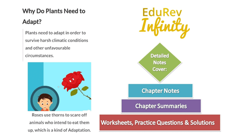 What do you get under EduRev Infinity Package for Class 4? | Parent`s Guide to EduRev Infinity for Class 4
