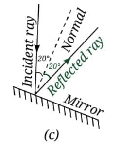 Light: Mirrors and Lenses NCERT Solutions | Science Curiosity Class 8 -  New NCERT